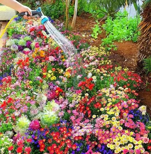 Gardening